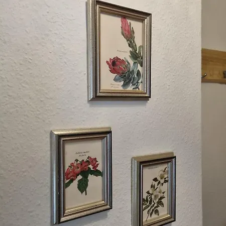 Modern-ruhig-stadtnah-geschirrspueler-parkplatz פאסואלק